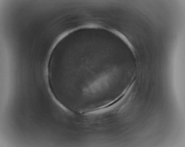 X0000113951335200910021458