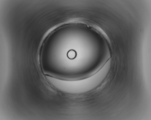 X0000113951336200910021458