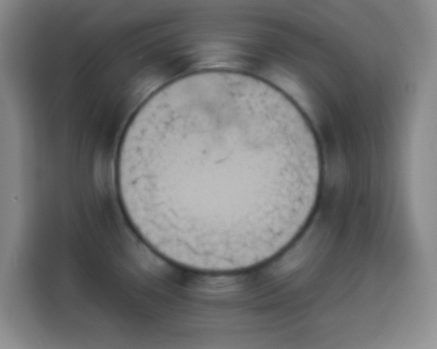 X0000113951338200910021458