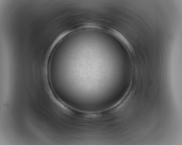 X0000113951339200910021458