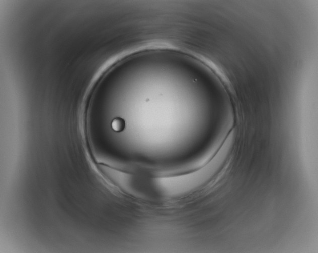 X0000113951342200910021458