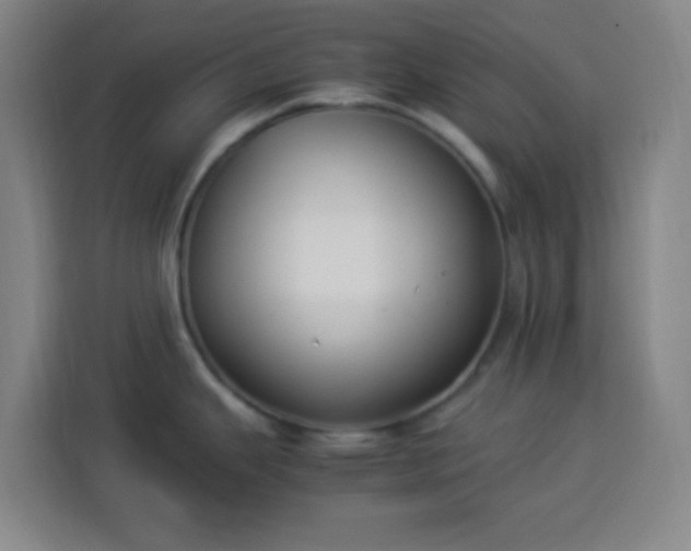 X0000113951343200910021458