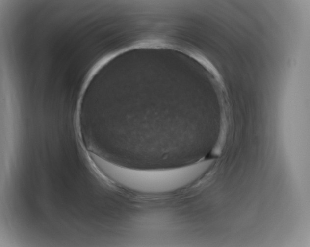 X0000113951344200910021458