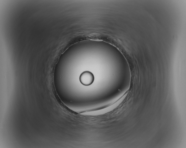 X0000113951345200910021457