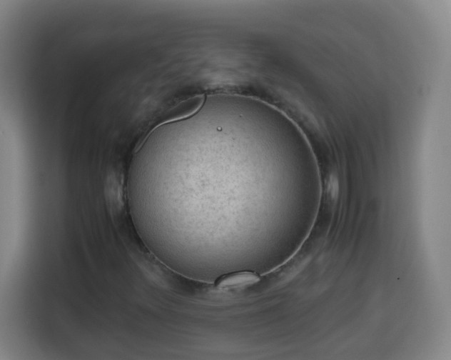 X0000113951348200910021457