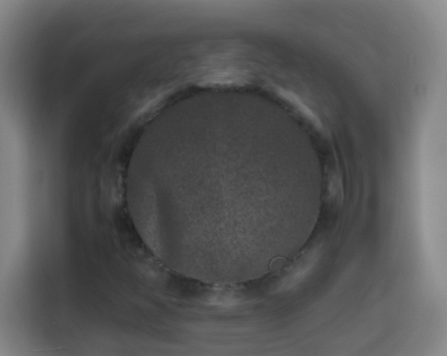 X0000113951350200910021457