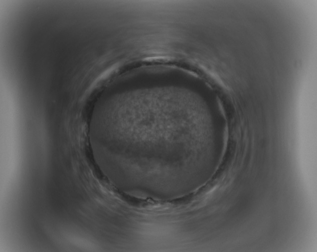 X0000113951351200910021457