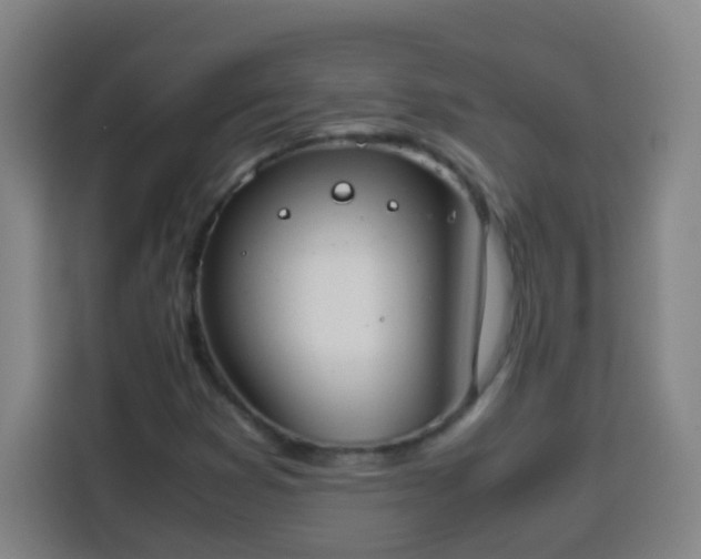 X0000113951353200910021457