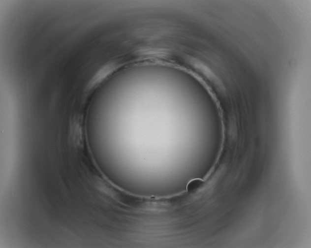 X0000113951354200910021457
