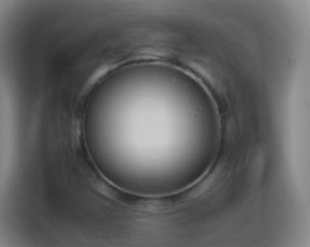 X0000113951355200910021457