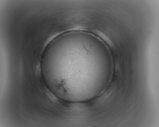 X0000113951356200910021457