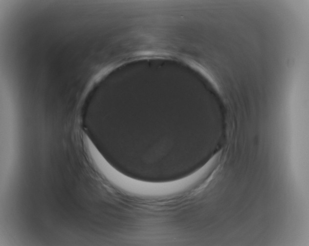 X0000113951357200910021457