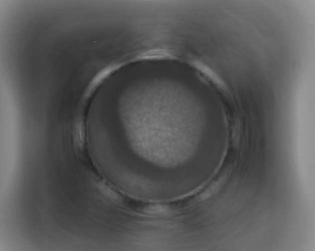 X0000113951358200910021457