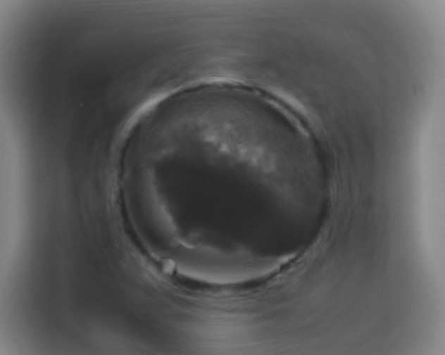 X0000113951359200910021457