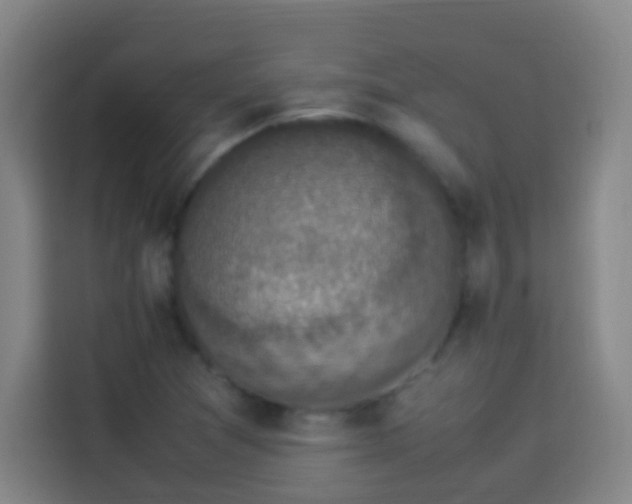 X0000113951361200910021457