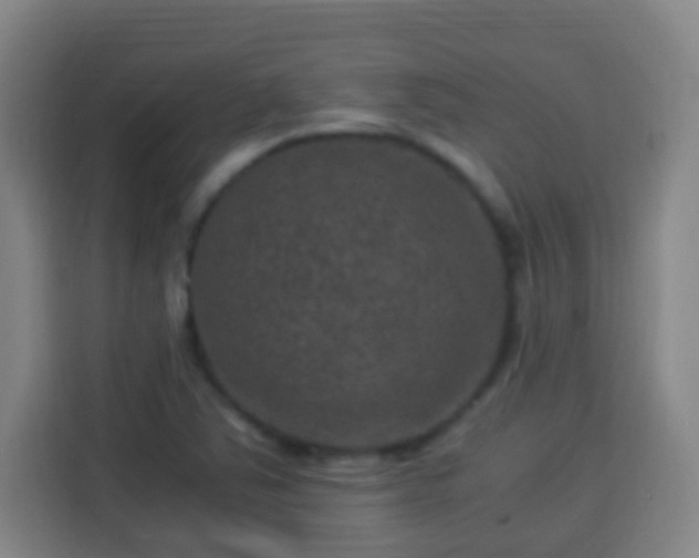 X0000113951363200910021457