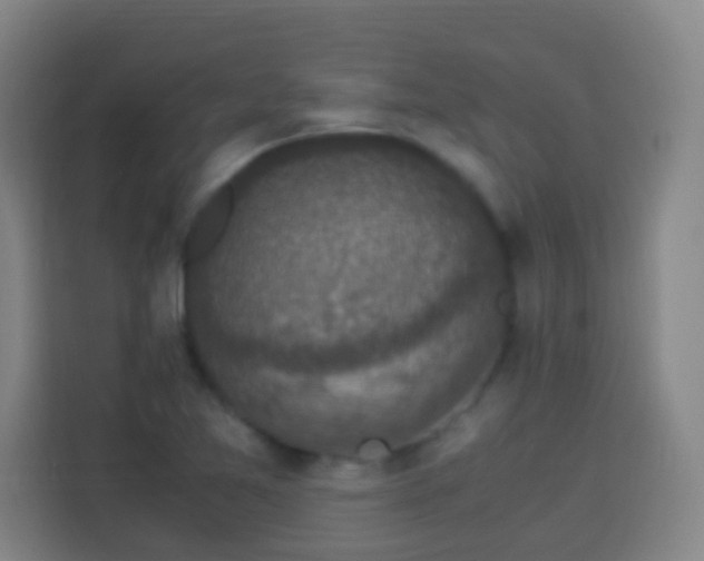 X0000113951365200910021457