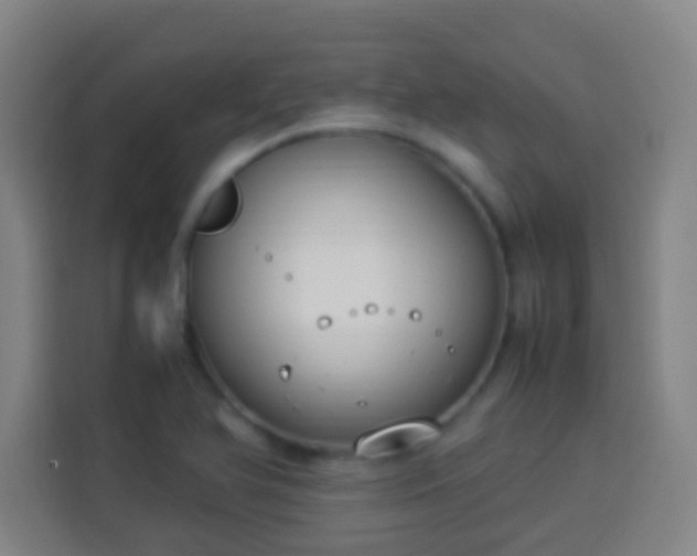 X0000113951366200910021457