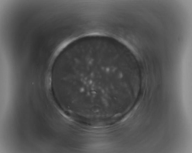 X0000113951367200910021457