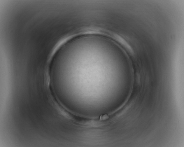 X0000113951368200910021457