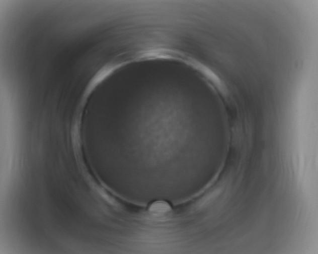 X0000113951373200910021457