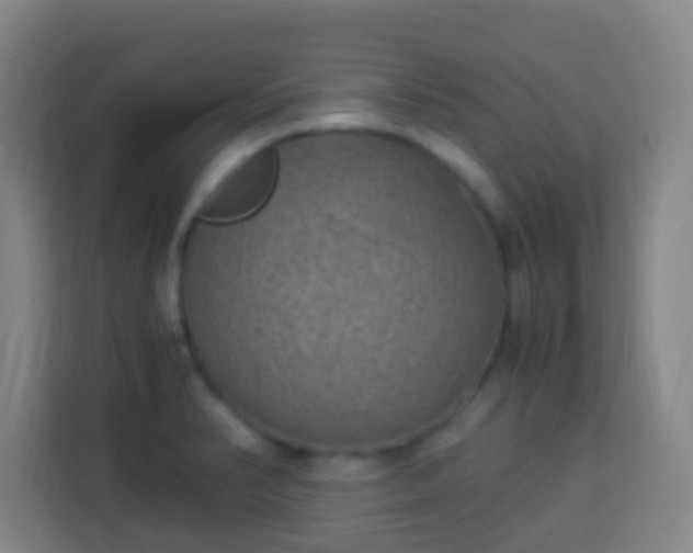 X0000113951374200910021457