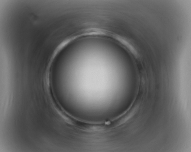 X0000113951375200910021457