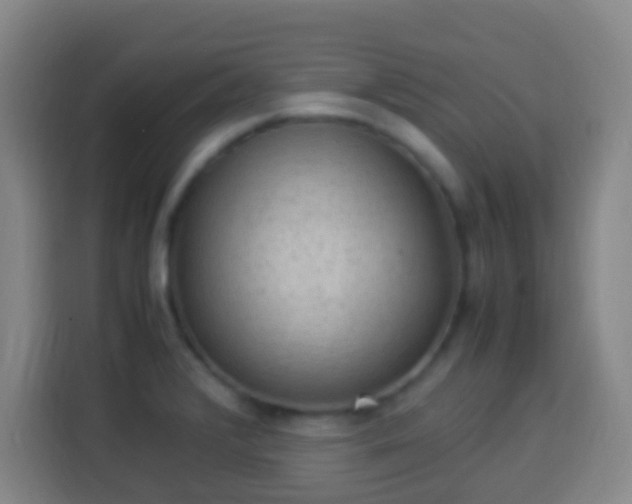 X0000113951376200910021457