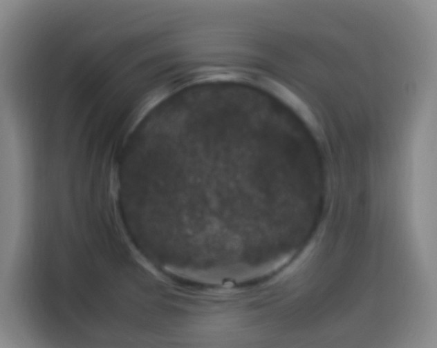 X0000113951377200910021457