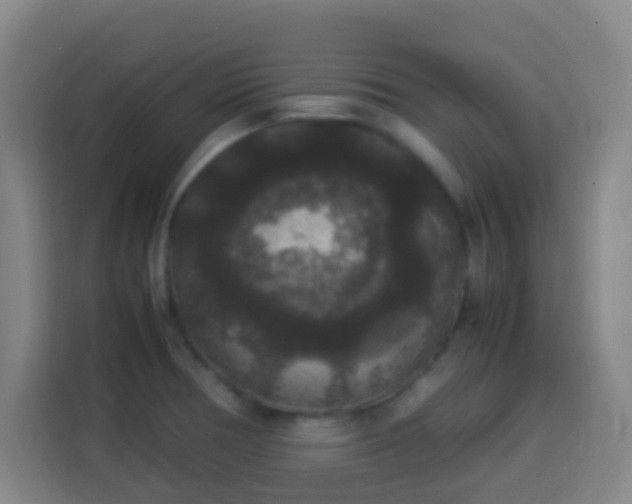 X0000113951378200910021457