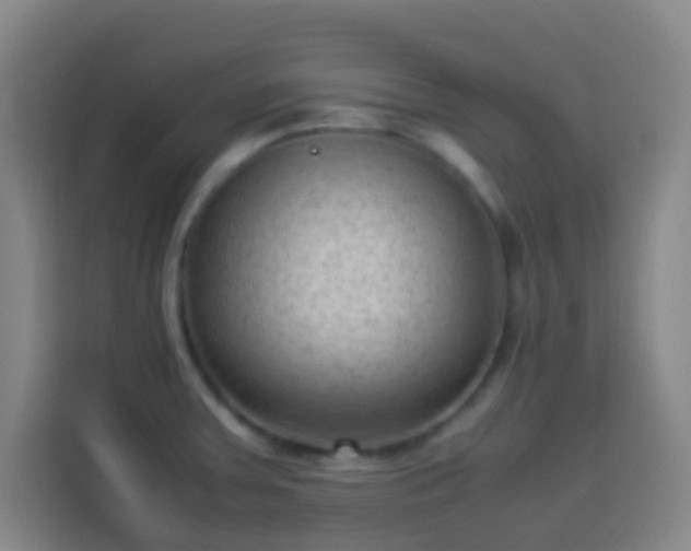 X0000113951379200910021457