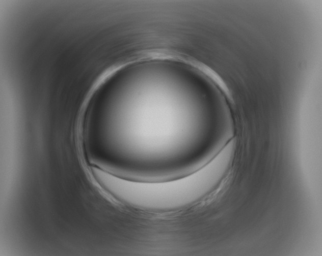 X0000113951381200910021457