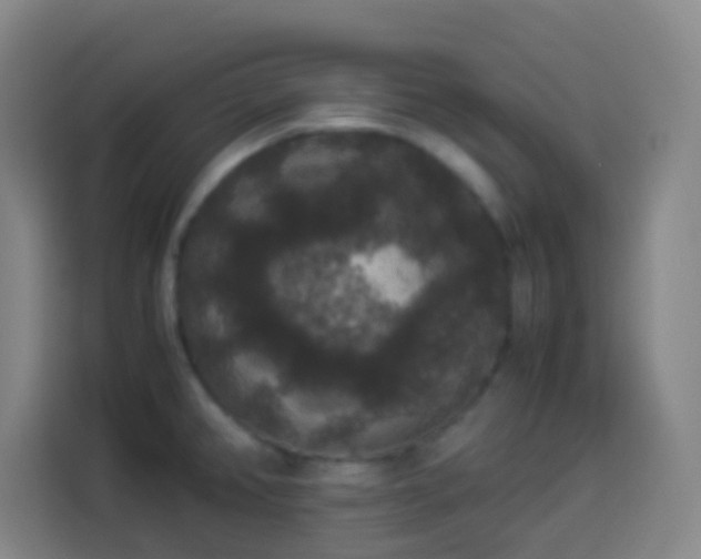 X0000113951382200910021457