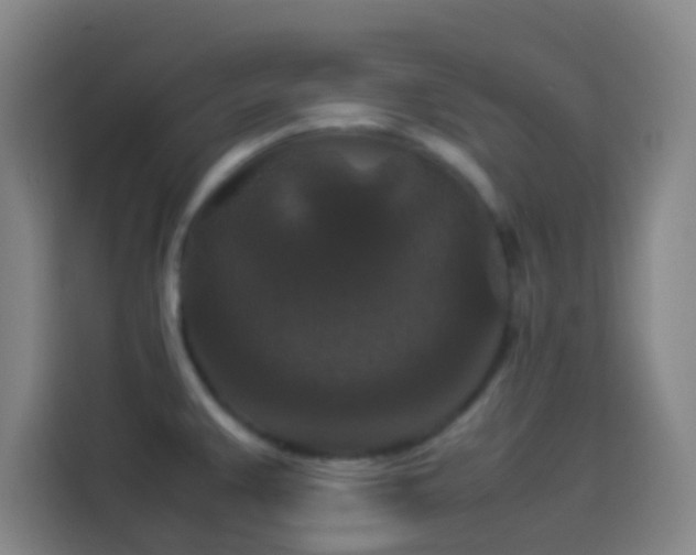 X0000113951383200910021457