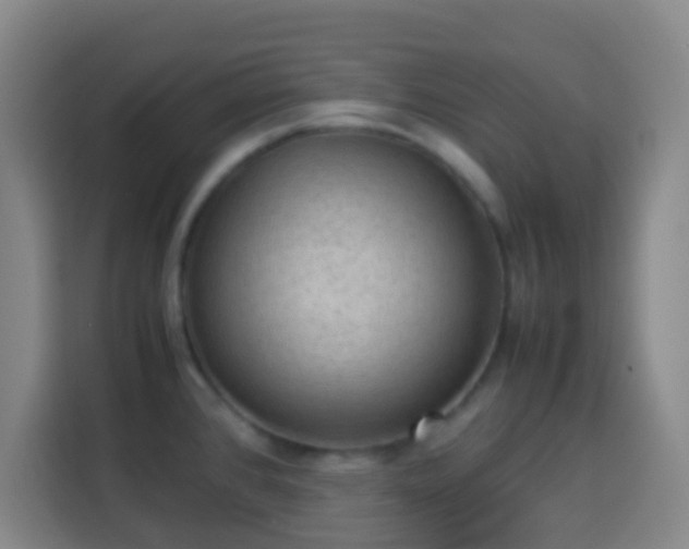 X0000113951384200910021457