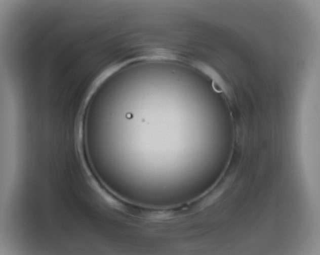 X0000113951387200910021457