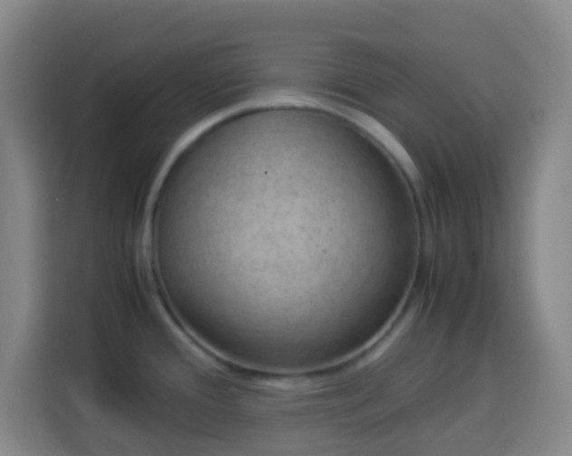 X0000113951388200910021457