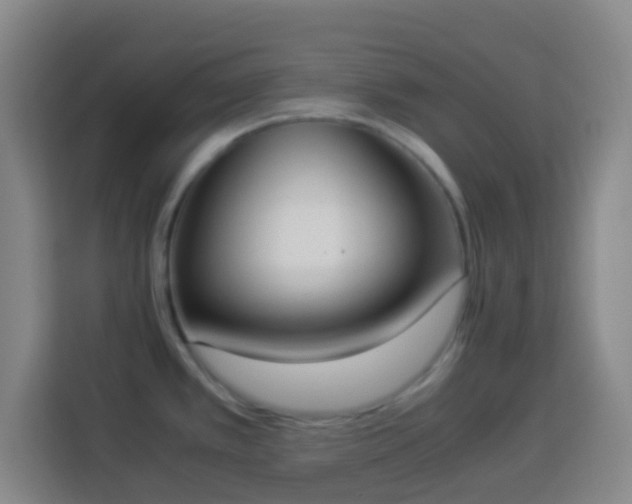X0000113951389200910021457