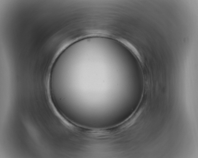 X0000113951391200910021457