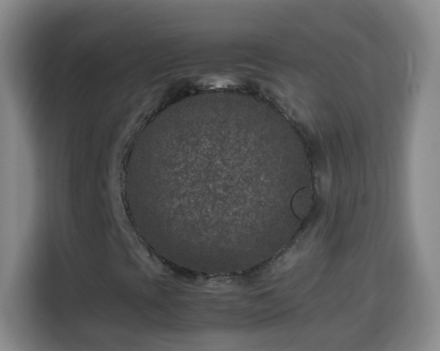 X0000113951393200910021456