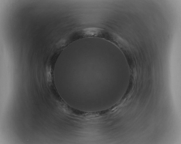 X0000113951394200910021456