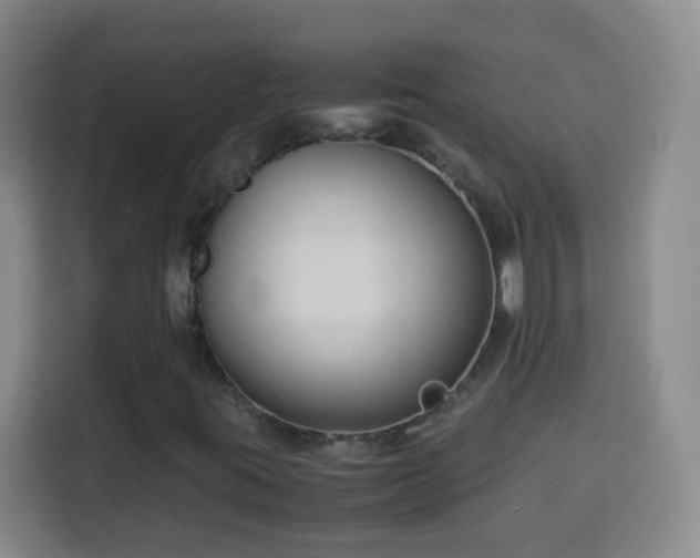 X0000113951395200910021456