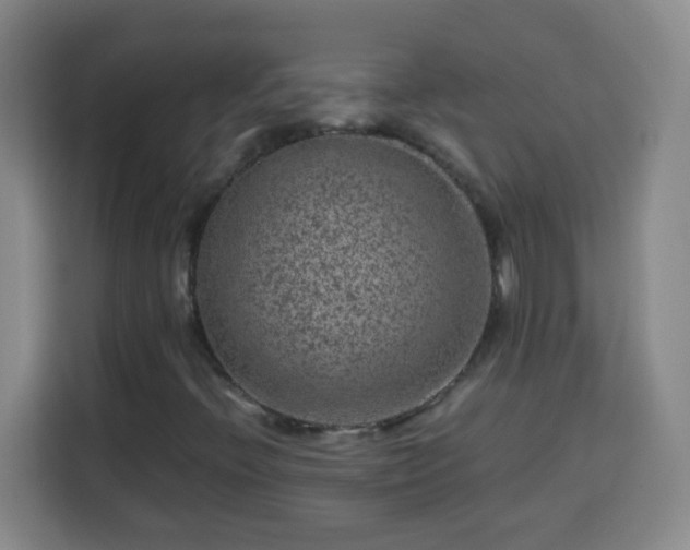X0000113951396200910021456