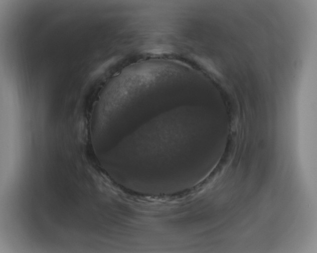 X0000113951398200910021456