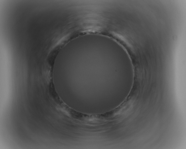 X0000113951399200910021456