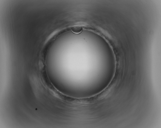 X0000113951400200910021456