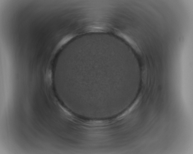 X0000113951402200910021456