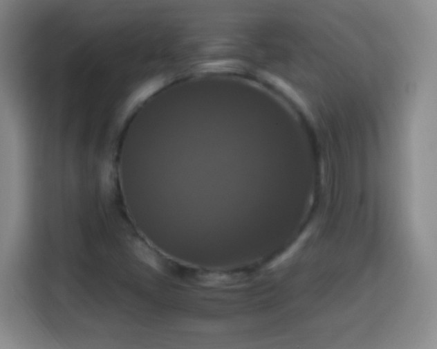 X0000113951405200910021456