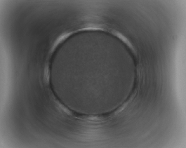 X0000113951408200910021456