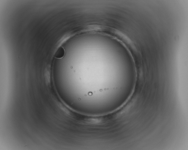 X0000113951409200910021456